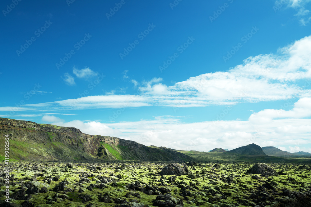 volcanic mossy landscape, Iceland