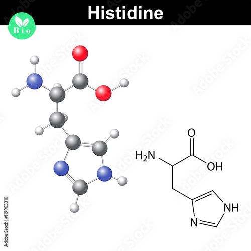 Histidine essential amino acid