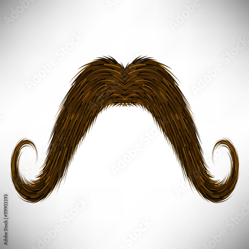 Brown Hairy Mustache Isolated on Grey Background