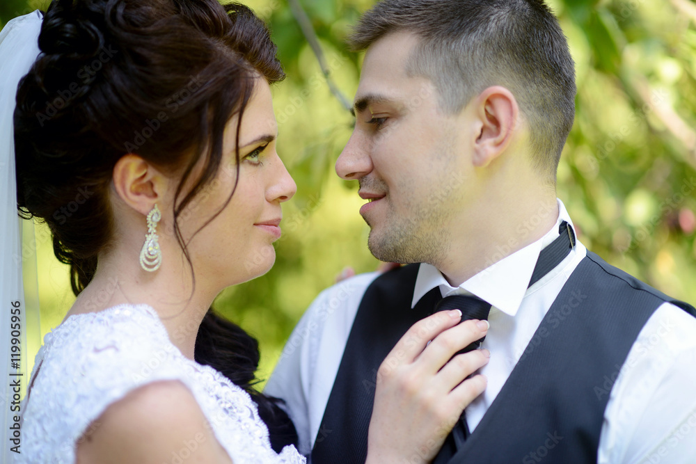 Wedding couple on the nature is hugging each other. Beautiful model girl in white dress. Man in suit. Beauty bride with groom. Female and male portrait. Woman with lace veil. Lady and guy outdoors Wedding couple on the nature is hugging each other. Beautiful model girl in white dress. Man in suit. Beauty bride with groom. Female and male portrait. Woman with lace veil. Lady and guy outdoors