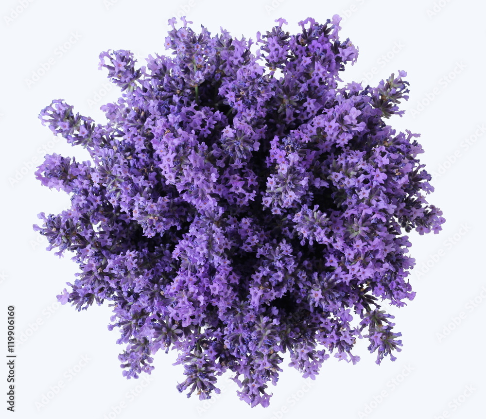 Top view of a bouquet of lavender flowers on a white background. Bunch of purple lavandula flowers. Photo from above. - obrazy, fototapety, plakaty 
