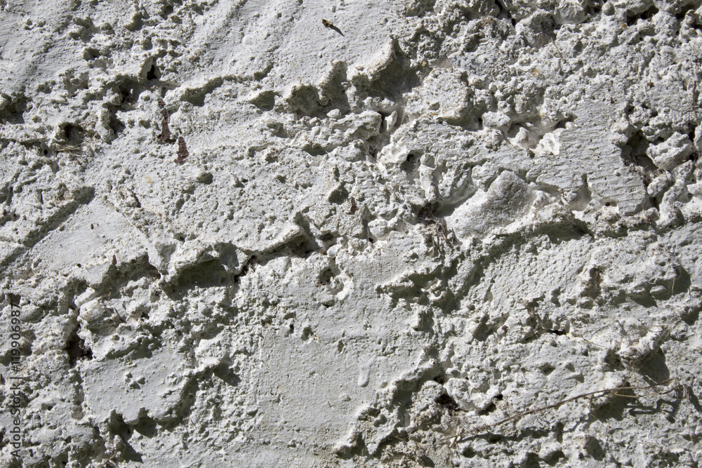 Obraz premium Structure of an old wall