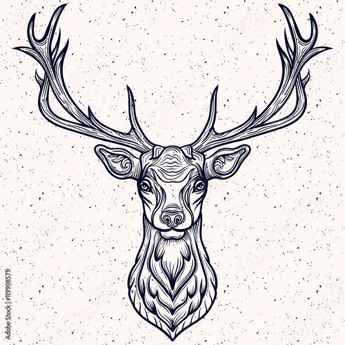 Whitetail Deer Head.