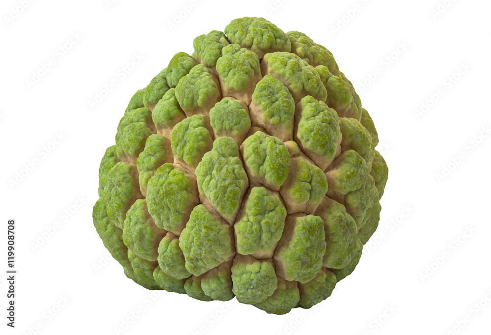 'Custard Apple' (Annona squamosa) isolated on white background and clipping path 'Custard Apple' (Annona squamosa) isolated on white background and clipping path
