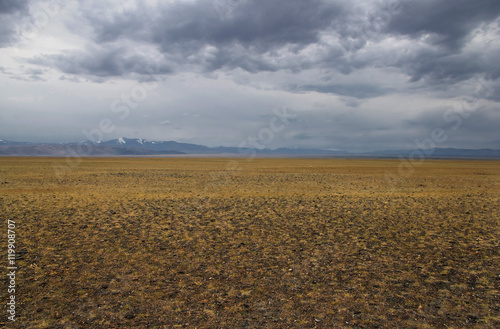 A wide valley steppe with yellow grass under a cloudy sky on the background of mountain ranges, the Altai mountains, Siberia, Russia © nighttman