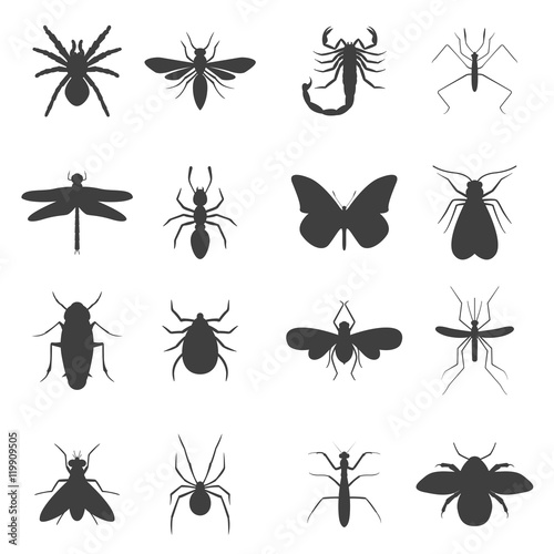 Insect icons set. © wladislawka