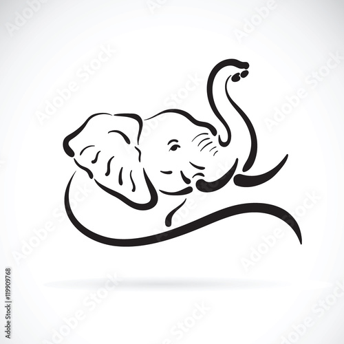 Vector of elephant head. Animal. 