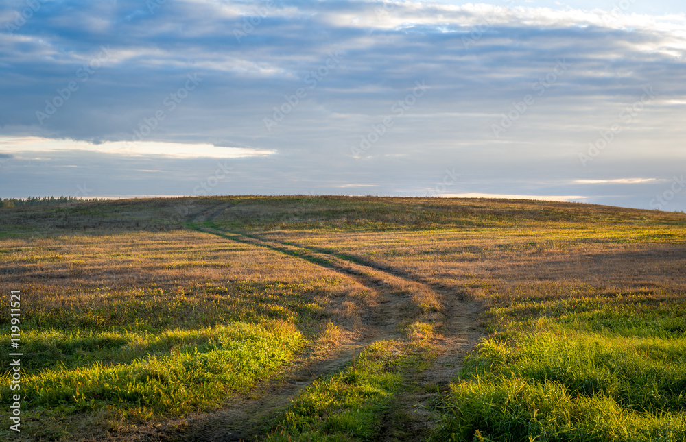 Sunset light in the field road. Belarus.
