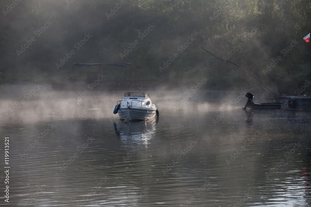 Naklejka premium spiritual landscape on the misty river