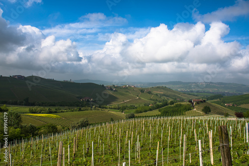 Fototapeta Naklejka Na Ścianę i Meble -  Vineyards of Langhe, Piedmont, UNESCO world heritage