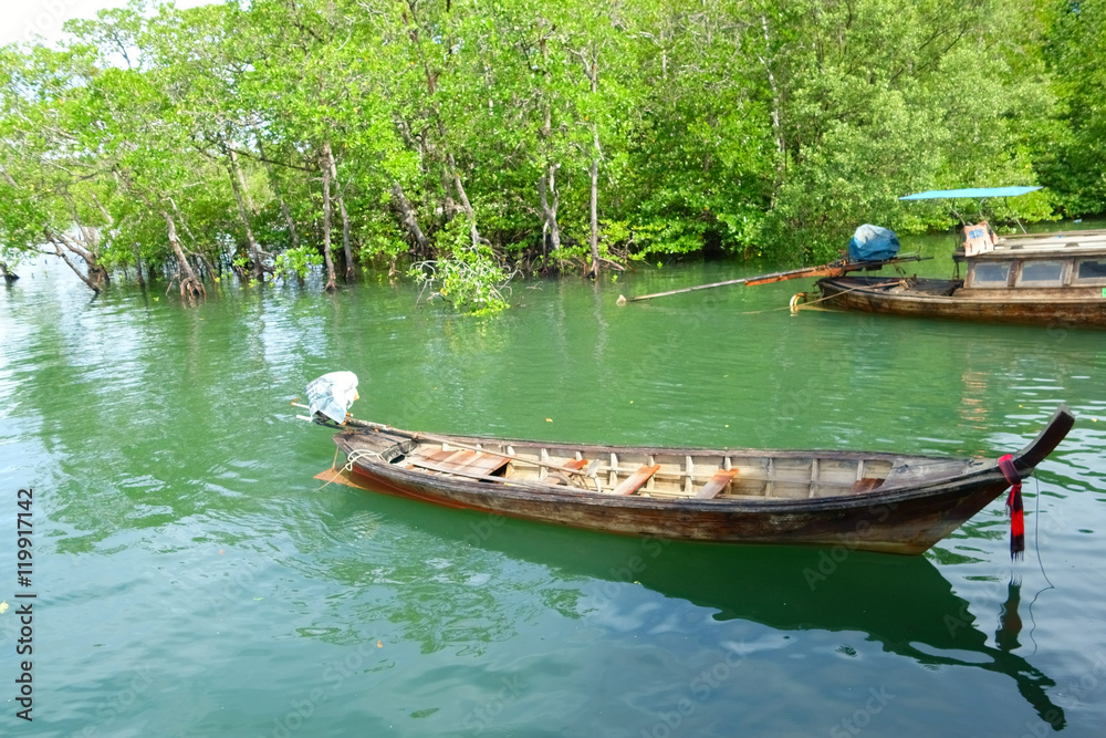 Long Tail Boat and Mangrove Forest in Krabi, Thailand