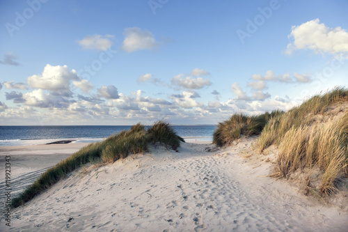 sand and dunes near beach of vlieland in the netherlands with bl photo