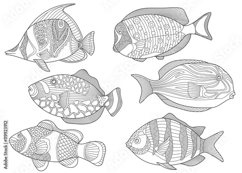 Stylized collection of underwater tropical fishes. Freehand sketch for adult anti stress coloring book page with doodle and zentangle elements.