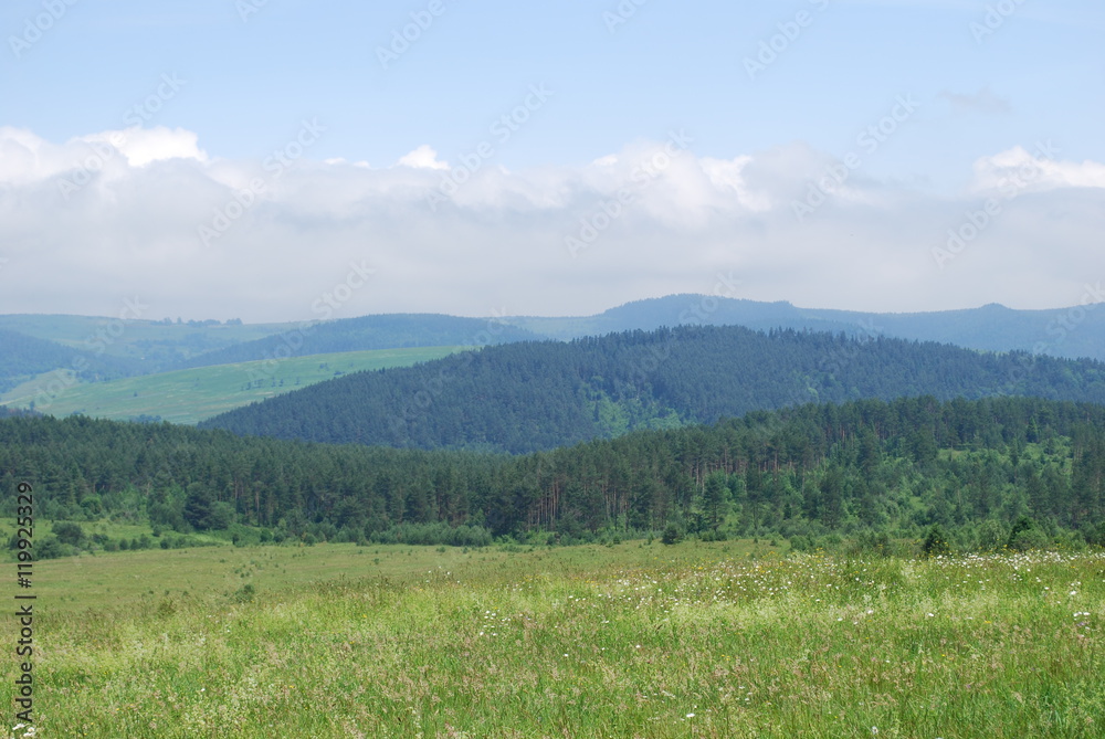 Карпаты Карпаты
