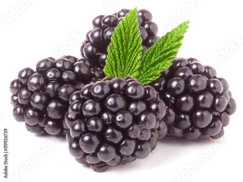 pile of blackberry with leaves isolated on white background