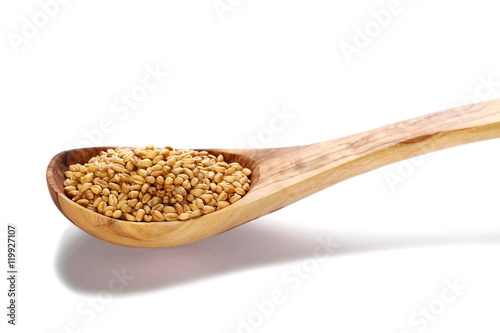 wooden spoon wheat grains with wooden spoon isolated on white background