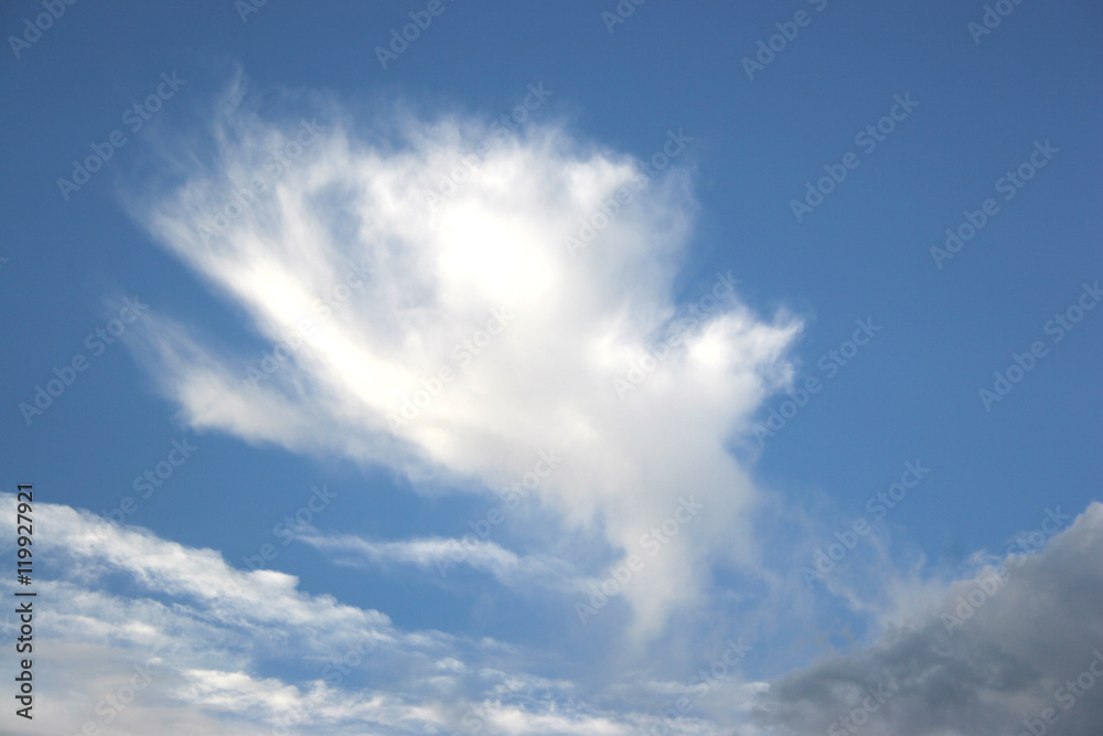 cielo cielo