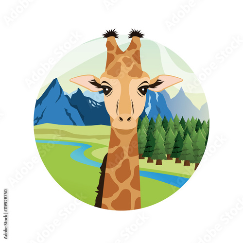 Fototapeta Naklejka Na Ścianę i Meble -  giraffe cartoon animal picture icon. Circle and colorful design. Vector illustration