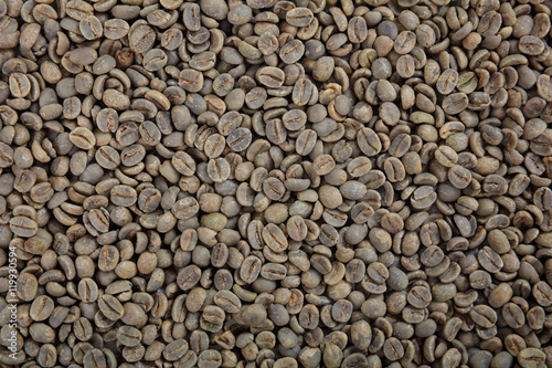 Green coffee beans background