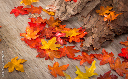 Bunte Herbstblätter