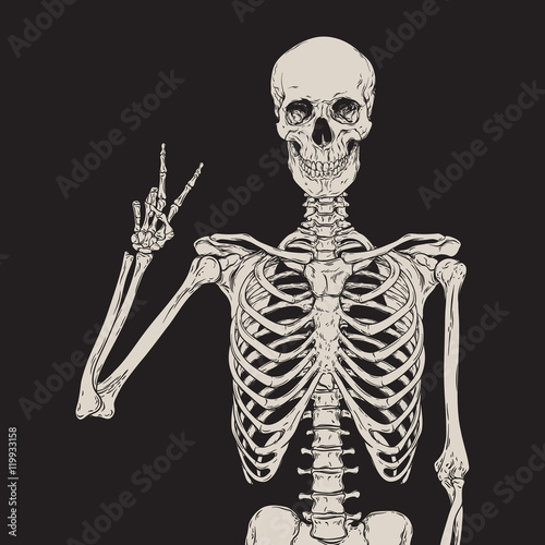 Human skeleton posing isolated over black background vector photo