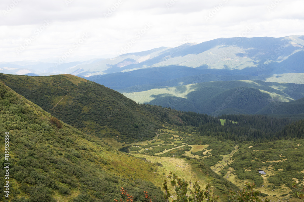 View of mountain peak and green meadow