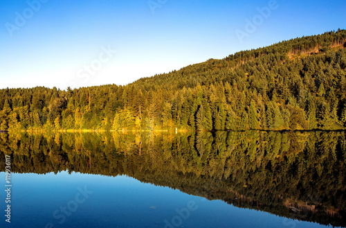 Autumn, forest on the lake, illuminated by the setting sun, reflected in the water surface.