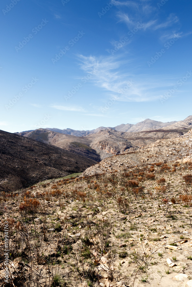 Empty but life - Swartberg Nature Reserve