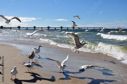 Obraz Piaszczysta plaża w Międzyzdrojach.
