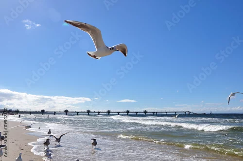 Fototapeta na wymiar Piaszczysta plaża w Międzyzdrojach.