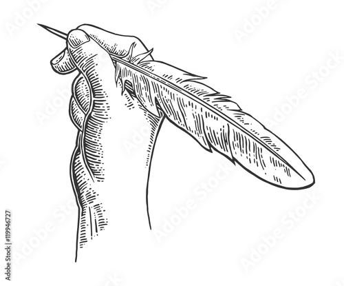 Female hand holding a goose feather. Vector black vintage engraving