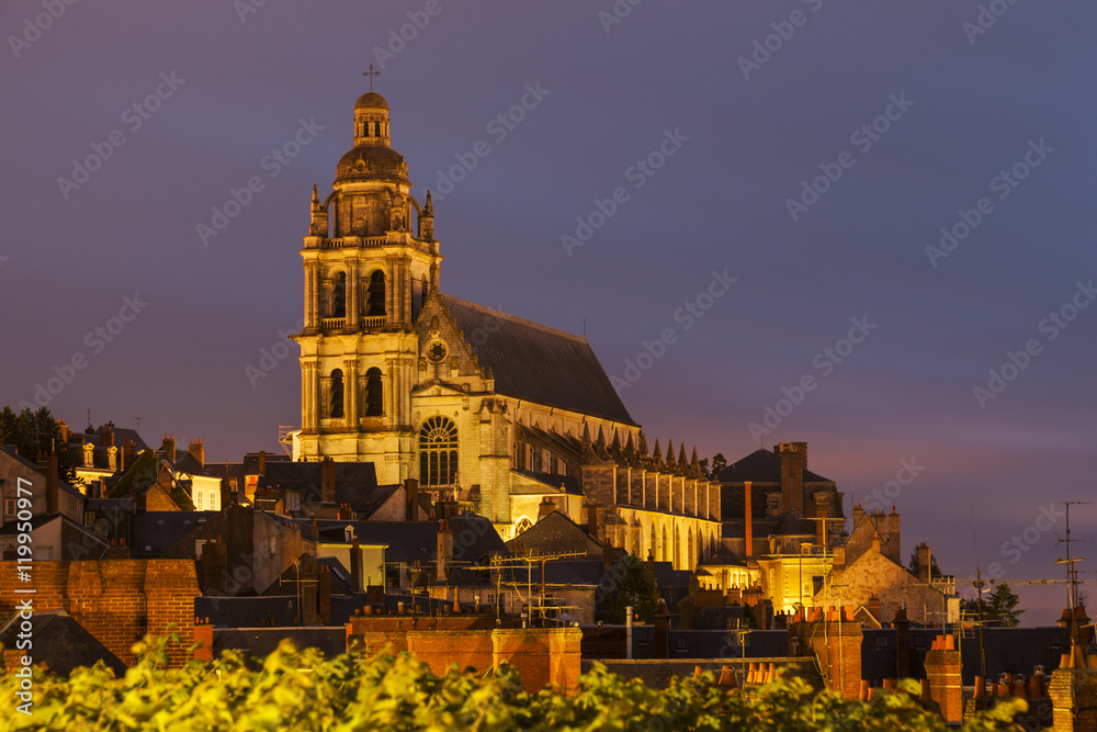 Fototapeta premium Saint-Louis Cathedral in Blois