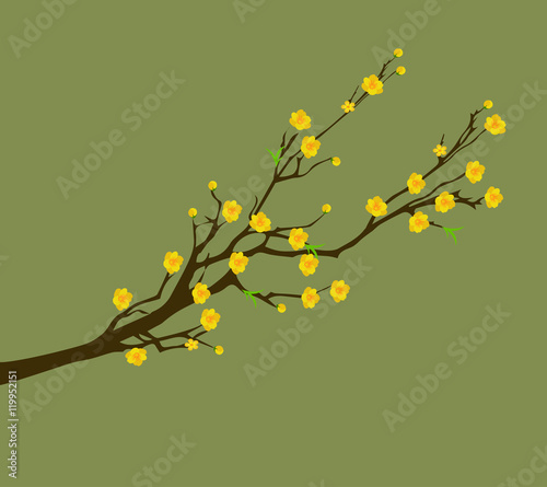 Yellow Apricot Flower, traditional lunar new year in Vietnam