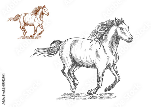 Running horses pencil sketch portrait photo