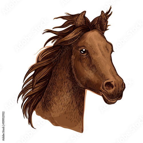Brown horse portrait with waving mane