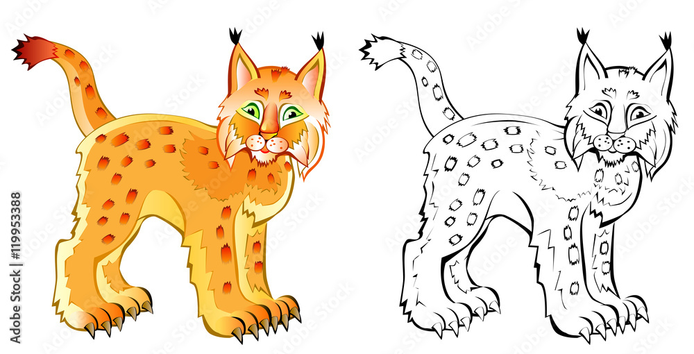 Obraz premium Colorful and black and white pattern lynx, vector cartoon image.