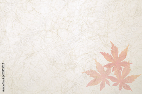Wallpaper Mural 秋もみじ和紙背景 Torontodigital.ca