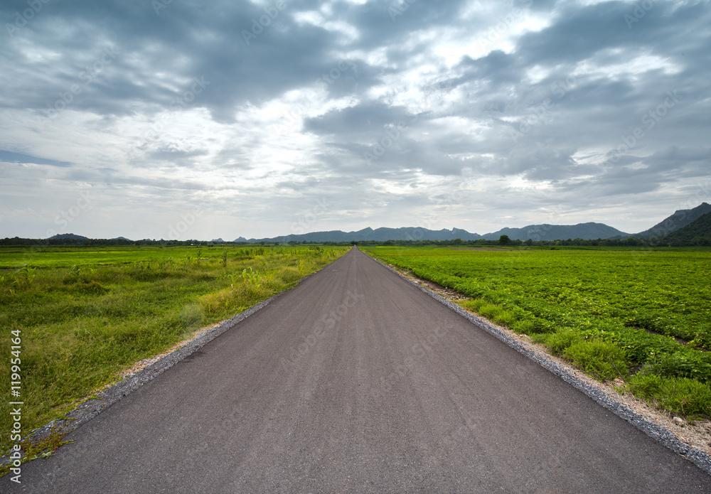 asphalt road between field in cloudy day, country side at Lopbur