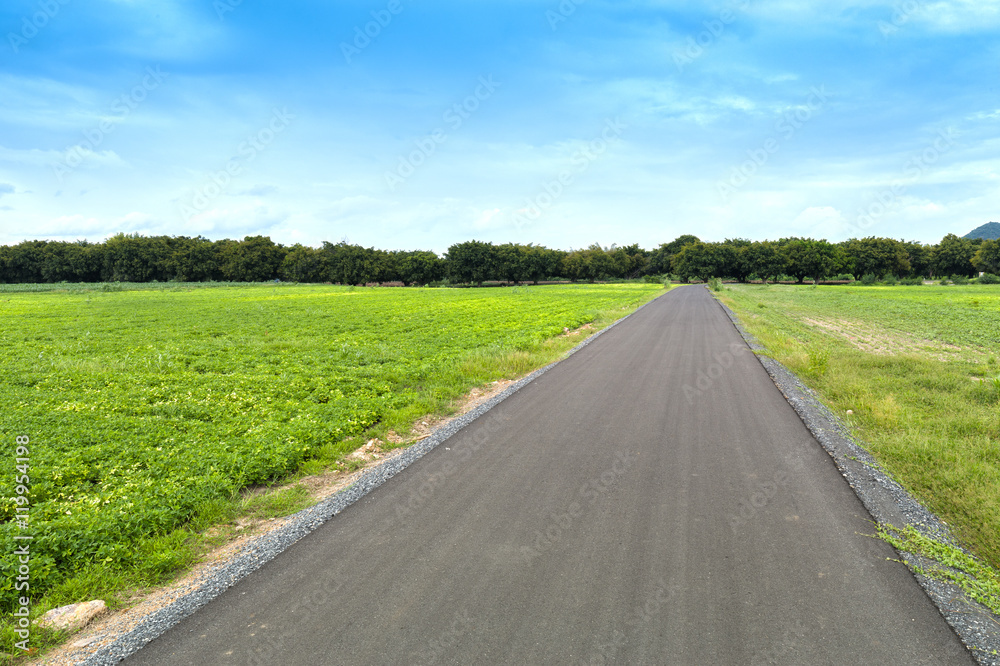 asphalt road between field with blue sky, country side at Lopbur