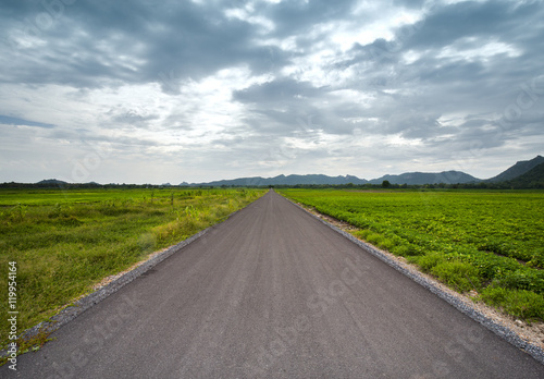 asphalt road between field in cloudy day, country side at Lopbur