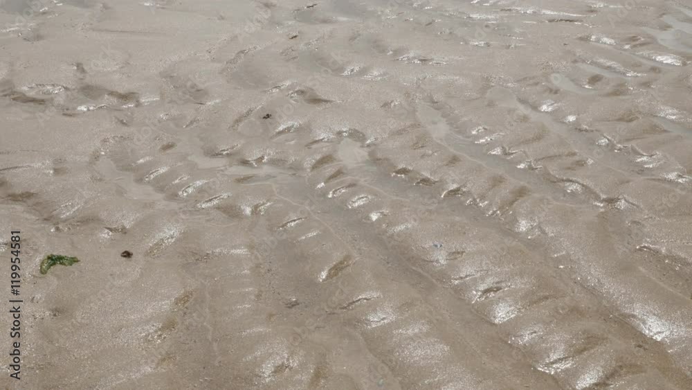Wet mudflats near ocean in northern France in form of sand dunes 4K 2160p 30fps UltraHD tilting footage - Slow tilt on mud flats made of sand and sea water 4K 3840X2160 UHD video Wet mudflats near ocean in northern France in form of sand dunes 4K 2160p 30fps UltraHD tilting footage - Slow tilt on mud flats made of sand and sea water 4K 3840X2160 UHD video