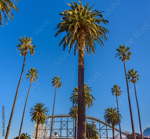 O,Donnell Gardens, St Kilda, Victoria, Australia with Luna Park in the background photo