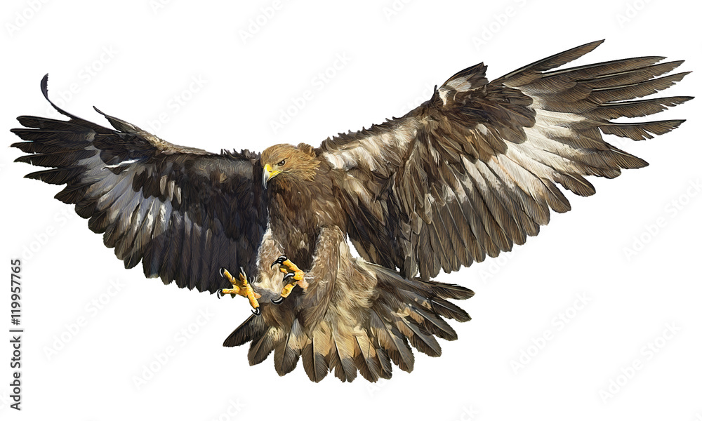 Obraz premium Golden eagle landing hand draw vector background illustration.