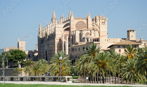 PALMA DE MALLORCA CAPITAL CIUDAD DETALES PALMERAS