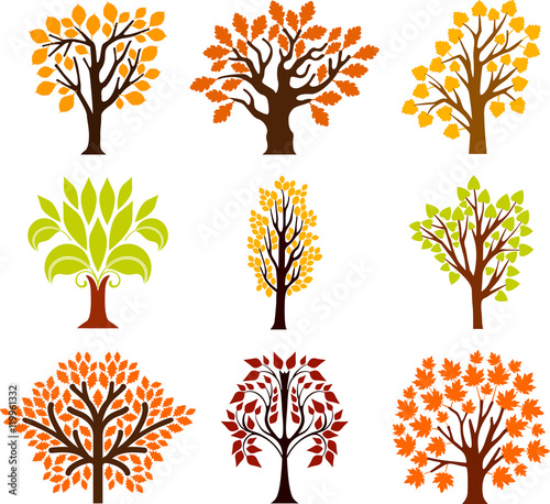  Fall trees