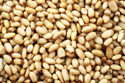 Pine Nuts Close Up