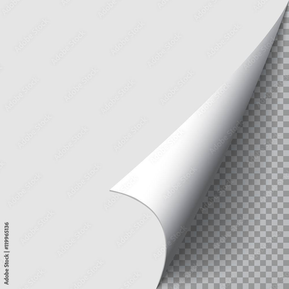 Page curl blank.  Realistic paper corner. Sheet of paper with page curl. Element for advertising and promotional. Two place for image or text. Corner sticker. Vector, eps 10