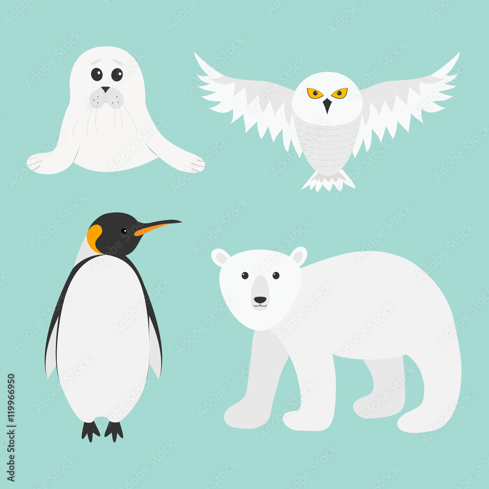 Naklejka premium Arctic polar animal set. White bear, owl, king penguin Emperor Aptenodytes Patagonicus, Seal pup baby harp. Kids education cards. Winter antarctica blue background Isolated Flat design.