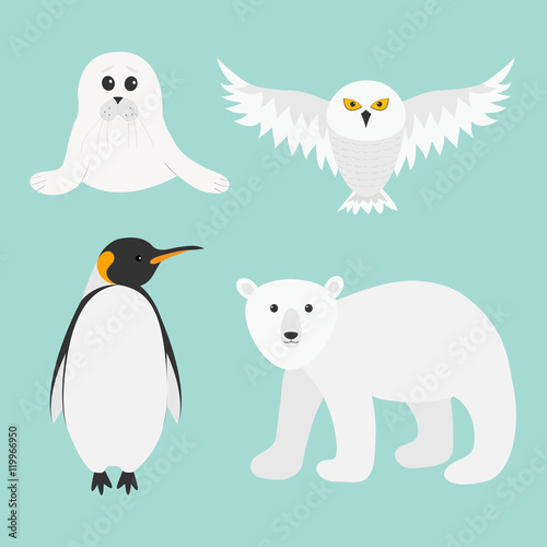 Arctic polar animal set. White bear, owl, king penguin Emperor Aptenodytes Patagonicus, Seal pup baby harp. Kids education cards. Winter antarctica blue background Isolated Flat design.