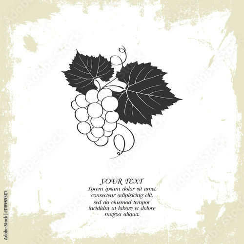 Brown wrinkled paper with grapes. Vector illustration.